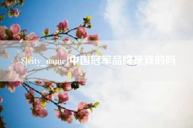 汉川中国冠军品牌是真的吗