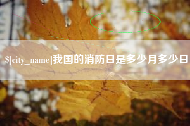 汉川我国的消防日是多少月多少日