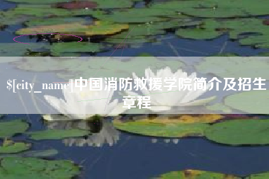 汉川中国消防救援学院简介及招生章程