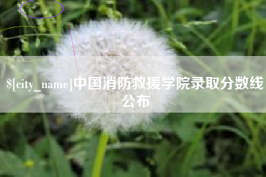 汉川中国消防救援学院录取分数线公布