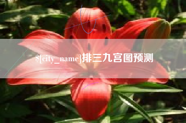 汉川排三九宫图预测