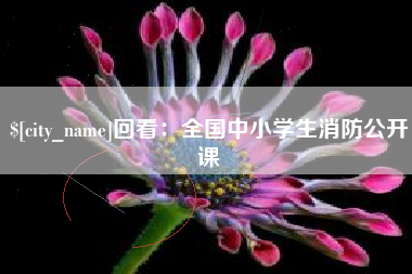 汉川回看：全国中小学生消防公开课