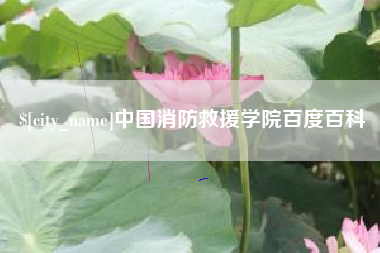 汉川中国消防救援学院百度百科