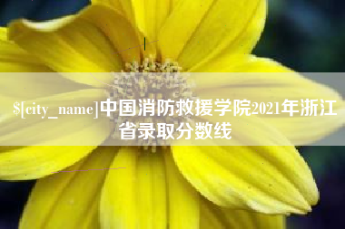 汉川中国消防救援学院2021年浙江省录取分数线