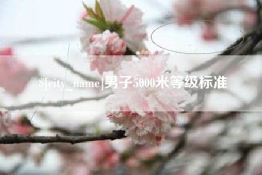 汉川男子5000米等级标准