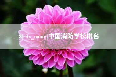 汉川中国消防学校排名
