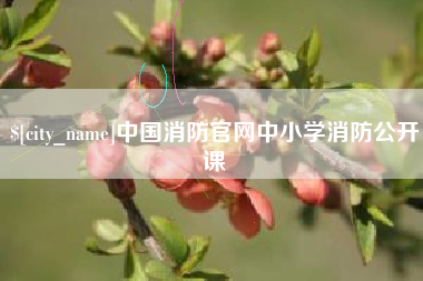汉川中国消防官网中小学消防公开课