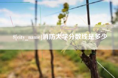 汉川消防大学分数线是多少
