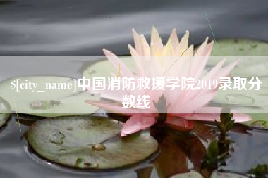汉川中国消防救援学院2019录取分数线