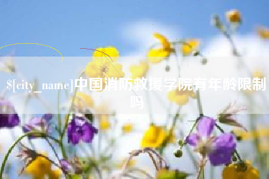 汉川中国消防救援学院有年龄限制吗