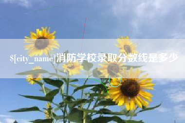 汉川消防学校录取分数线是多少
