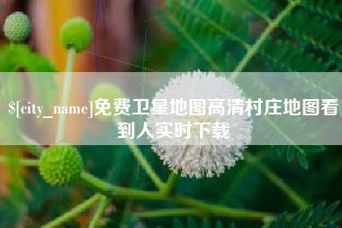 汉川免费卫星地图高清村庄地图看到人实时下载