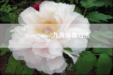 汉川九宫排盘方法