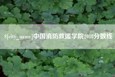 汉川中国消防救援学院2018分数线