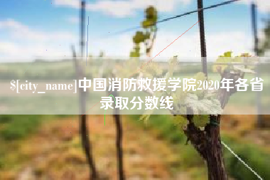 汉川中国消防救援学院2020年各省录取分数线