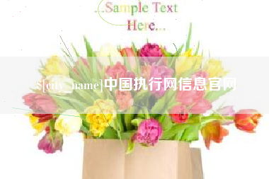 汉川中国执行网信息官网