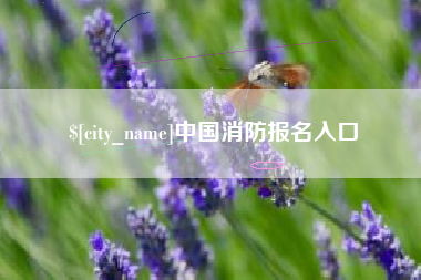 汉川中国消防报名入口