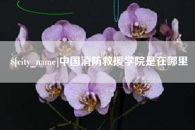 汉川中国消防救援学院是在哪里