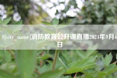 汉川消防教育公开课直播2024年9月6日
