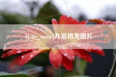 汉川九宫格龙图片