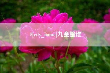 汉川九金是谁