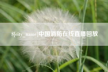 汉川中国消防在线直播回放