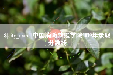 汉川中国消防救援学院2019年录取分数线