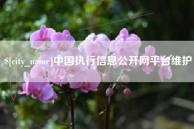 汉川中国执行信息公开网平台维护