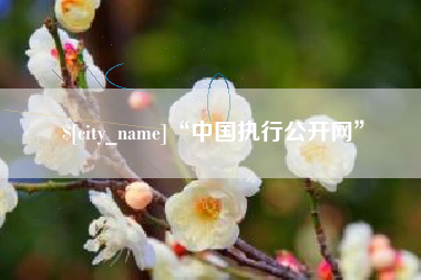 汉川“中国执行公开网”