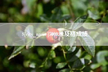 汉川5000米及格成绩