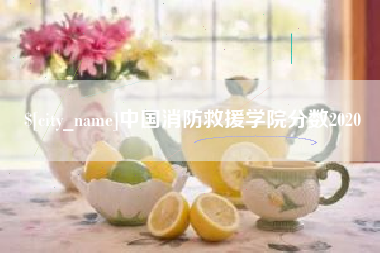 汉川中国消防救援学院分数2020