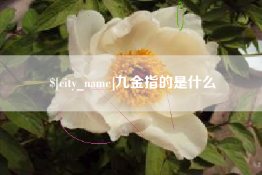 汉川九金指的是什么