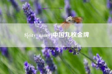 汉川中国九枚金牌