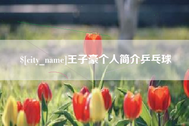 汉川王子豪个人简介乒乓球