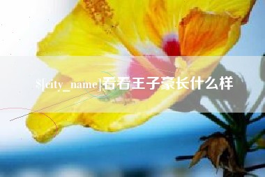 汉川看看王子豪长什么样