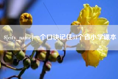 汉川一个口诀记住34个省小学课本