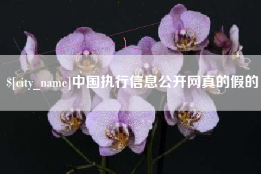 汉川中国执行信息公开网真的假的