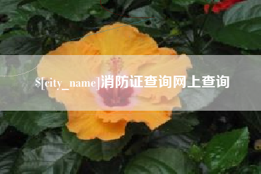 汉川消防证查询网上查询
