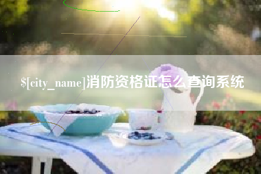 汉川消防资格证怎么查询系统
