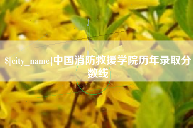 汉川中国消防救援学院历年录取分数线