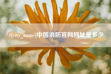 汉川中国消防官网网址是多少