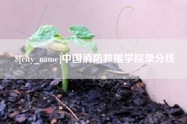 汉川中国消防救援学院录分线