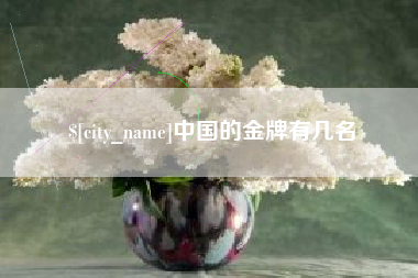 汉川中国的金牌有几名