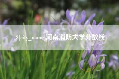 汉川河南消防大学分数线