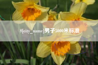 汉川男子5000米标准