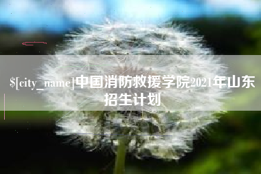 汉川中国消防救援学院2021年山东招生计划