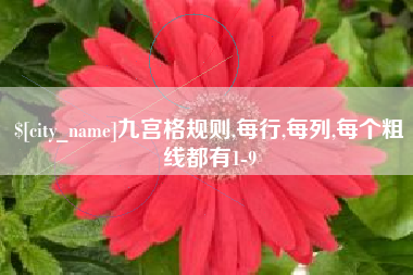 汉川九宫格规则,每行,每列,每个粗线都有1-9