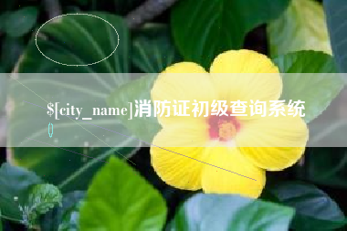 汉川消防证初级查询系统