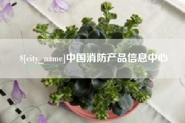 汉川中国消防产品信息中心