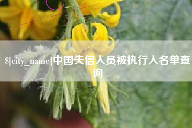 汉川中国失信人员被执行人名单查询